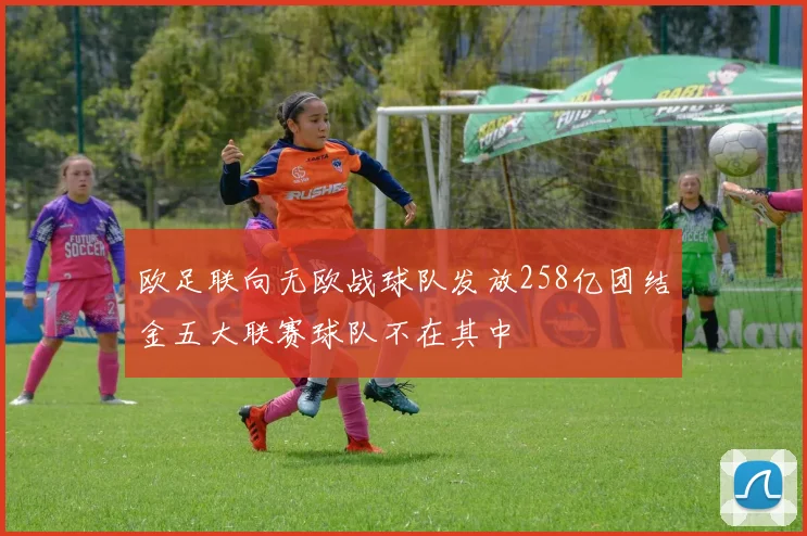 欧足联向无欧战球队发放258亿团结金五大联赛球队不在其中