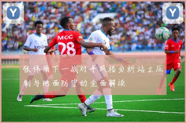 张伟丽下一战对手风格分析站立压制与地面防守的全面解读