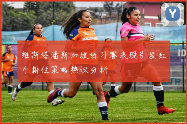 维斯塔潘新加坡练习赛表现引发红牛排位策略热议分析